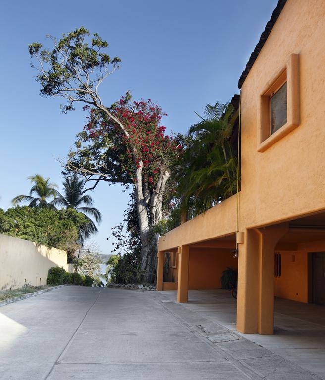 Hotel Casa Don Francisco Ixtapa  Room photo